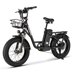 Bicicleta Eléctrica Philodo T1 Motor 750W Batería 48V 20Ah Plegable