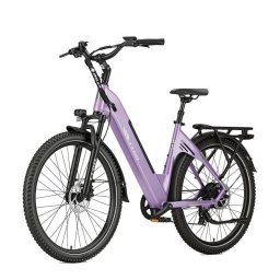 Bicicleta eléctrica TTGO C5 Motor 250W Batería 48V 13.5Ah Neumáticos 27.5