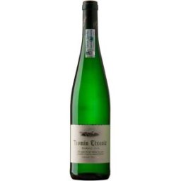 Etxaniz Chakolina Txomin Etxaniz 2025 - Vino blanco Chakolina de España 11,50% alc.