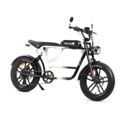 Bicicleta eléctrica Youin Miami BK7000 Motor 250W 43Nm Autonomía 100km 7V Dual Suspensión