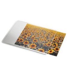 Alfombrilla Esselte 67691 Transparente Blanco monocromo 240x190 mm