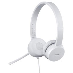 Auriculares Lenovo 110 con cable USB tipo A para oficina y call center gris nube