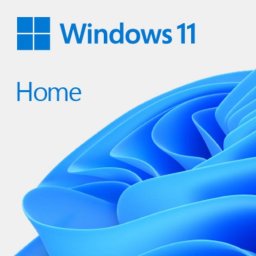 Sistema operativo Microsoft Windows 11 Home Francés USB 1 licencia FPP 64-bit
