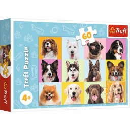 Rompecabezas TREFL 17374 60 piezas Animales 4 años