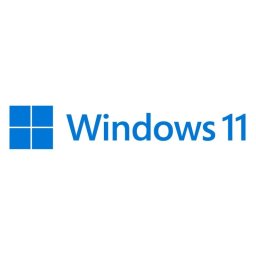 Licencia Microsoft Windows 11 Home USB Flash Drive