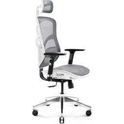 Silla de oficina ergonómica Diablo Chairs V-Basic Biało-szare