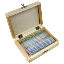 Accesorio microscopio Bresser Optics 5986000 30 muestras animales caja madera