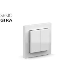 Interruptor inteligente Senic Friends of Hue Switch ZigBee compatible Philips Hue