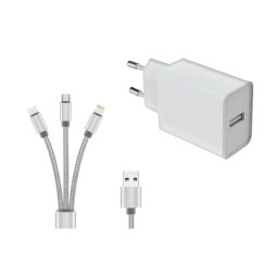 Cargador DLH DY-AU5092W Interior 12W USB-A 5V 2,4A 1,2 m Blanco