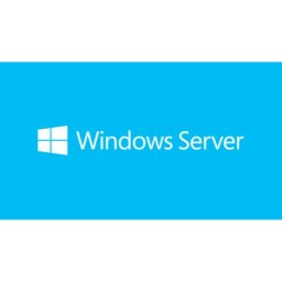 Licencia Microsoft Windows Server 2019 CAL 5 licencias