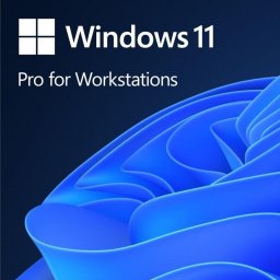 Sistema operativo Microsoft Windows 11 Pro BOX 64 bits