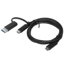 Cable Lenovo USB-C a USB-C 2 metros 10 Gbit/s con adaptador USB-A Negro