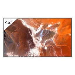Monitor Sony BZ30P 43" UltraHD 4K 60Hz IPS HDR10 Dolby Vision WiFi Android