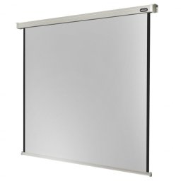 Celexon Electric Professional Pantalla de Proyección Eléctrica 180x180cm