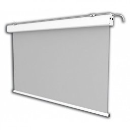 Celexon Expert Pantalla de Proyección Eléctrica 250x250cm