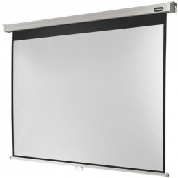 Celexon Professional Pantalla de Proyección Manual 96" 200x150cm