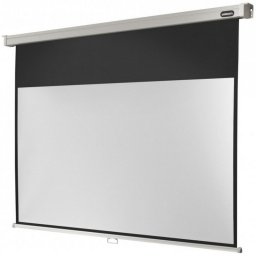 Celexon Professional Pantalla de Proyección Manual 88" 200x113cm