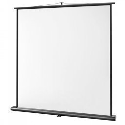 Celexon Ultramobile Professional Pantalla de Proyección 160x160cm