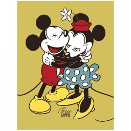 Pyramid Lienzo Disney Mickey & Minnie True Love 30x40