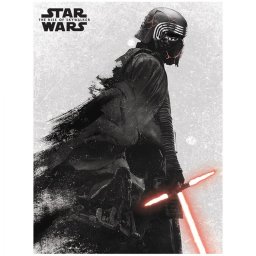 Pyramid Lienzo Star Wars Episodio 9 30x40cm
