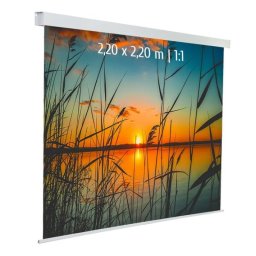 Kimex Pantalla de Proyección Eléctrica 2.20x2.20m Formato 1:1 Tela Blanca