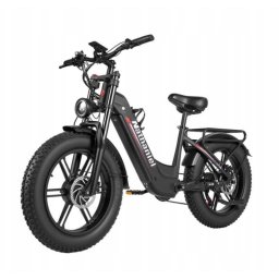 Bicicleta eléctrica Nathaniel SYR08 1000W×2 Batería 48V 20Ah 20