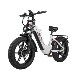 Bicicleta eléctrica Nathaniel SYR08 doble motor 2000W 48V 20Ah todoterreno