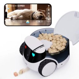 Robot de entretenimiento Enabot ROLA PetPal WiFi 3500 mAh