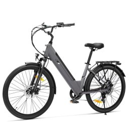 Bicicleta Eléctrica Touroll J2 ST 250W 45Nm 100km 7 Velocidades Paso Bajo Gris