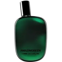 COMME DES GARÇONS Amazingreen
