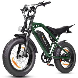 Bicicleta Eléctrica ESKUTE V202 250W 48V Neumáticos 20"x4