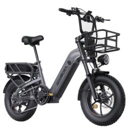 Bicicleta eléctrica HillMiles MileLink 1 250 W 48 V 18 Ah Fatbike gris