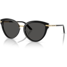 Gafas De Sol Dolce & Gabbana 0dg4492 32998g Negro Sobre Leo