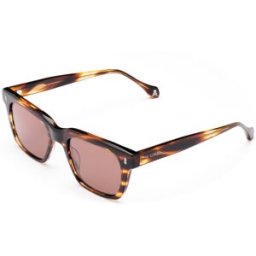 Gafas De Sol Scalpers Trastevere 02 Havana A Rayas