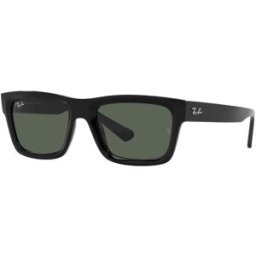 Rayban Gafas De Sol Ray-Ban Warren Rb 4396 667771 Negro