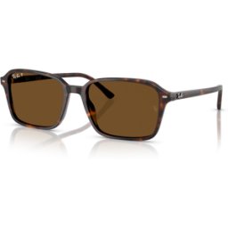 Rayban Gafas De Sol Ray-Ban Raimond Rb 2231 902 57 Havana
