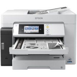 Epson EcoTank Pro ET-M16680 Impresora multifunción de inyección de tinta A3+ en blanco y negro con Wi-Fi (3 en 1)