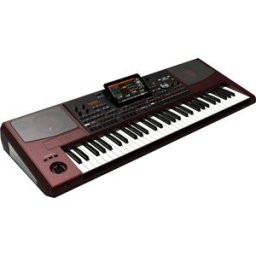 Korg PA-1000 Teclado Arreglista Profesional