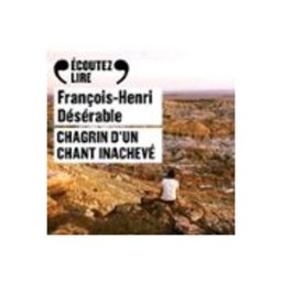 Chagrin d'un chant inachevé. Sur la route de Che Guevara