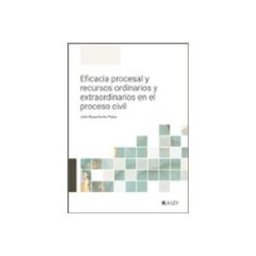 Edisofer S.l. Eficacia procesal y recursos ordinarios y extraordinarios en el proceso civil