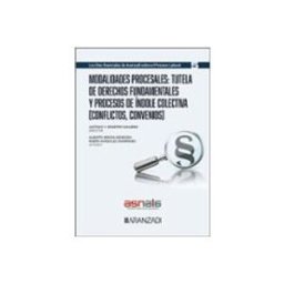 Edisofer S.l. Modalidades procesales: tutela de derechos fundamentales y procesos de índole colectiva
