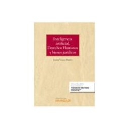 Edisofer S.l. inteligencia artificial derechos humanos y bienes jurídicos. (cuaderno