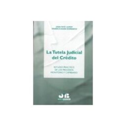 Edisofer S.l. la tutela judicial del credito: estudio practico de los procesos monit