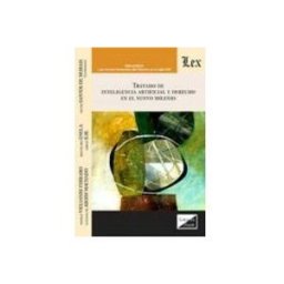 Teran Libros tratado de inteligencia artificial y derecho en el antiguo mileni o