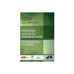 Edisofer S.l. problematica actual de los procesos de familia