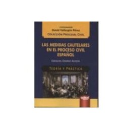 Edisofer S.l. medidas cautelares en el proceso civil español