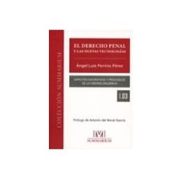 Edisofer S.l. derecho penal y las nuevas tecnologías. aspectos sustantivos y procesa