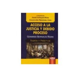 Edisofer S.l. acceso a la justicia y debido proceso: teoria y practica