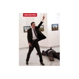 Naturart S.a. (pe) world press photo 17