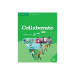 Cambridge University Press collaborate level 3 project book